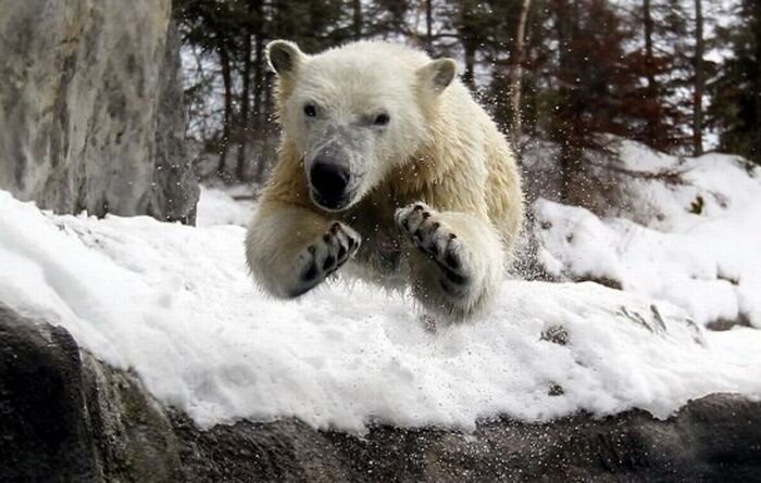 Прикольные фото и картинки от zubrilov за 03.12.2010 №61961