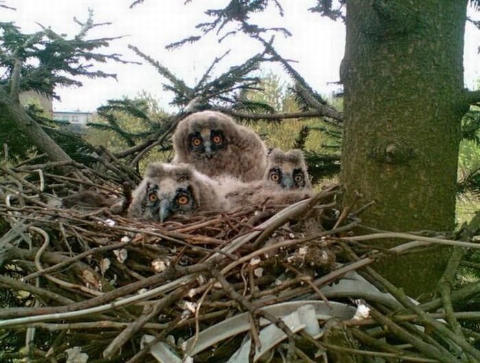 Прикольные фото и картинки от zubrilov за 03.12.2010 №61967