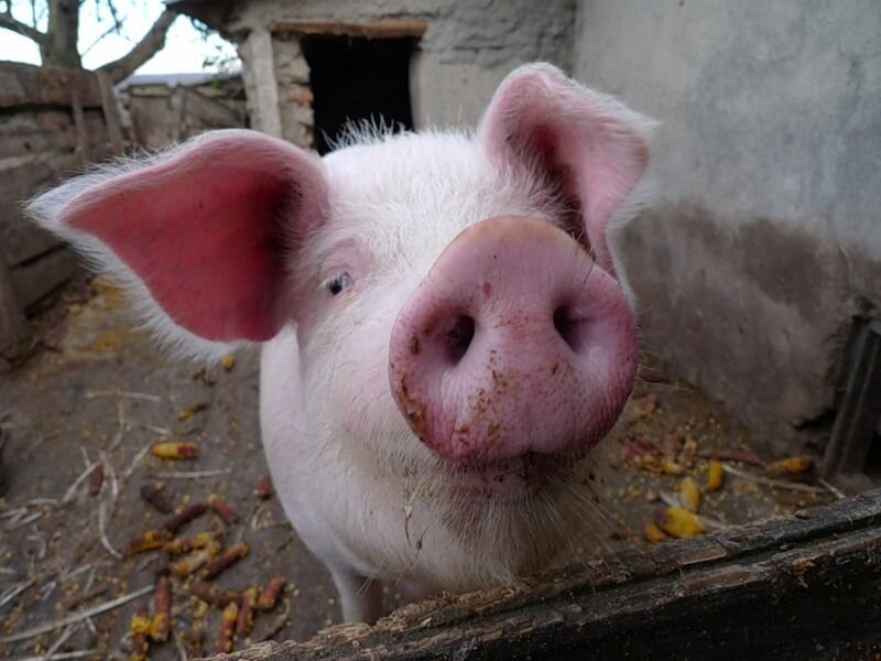 Прикольные фото и картинки от zubrilov за 06.12.2010 №61990