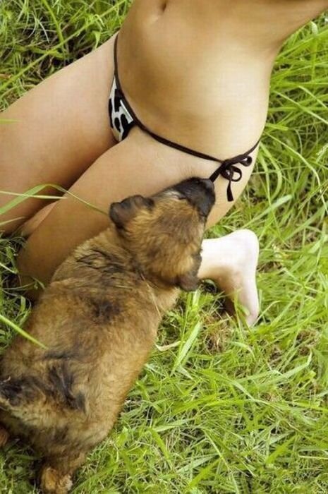 Прикольные фото и картинки от zubrilov за 06.12.2010 №62068