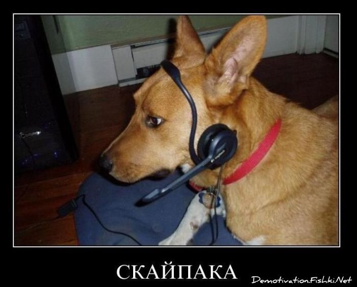Смешной демотиватор от zubrilov за 08.12.2010 №62350