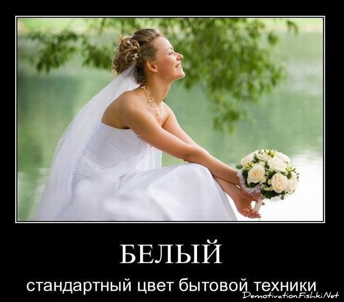 Смешной демотиватор от zubrilov за 08.12.2010 №62355