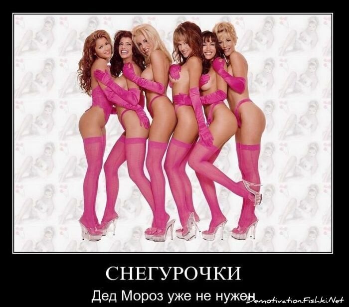 Смешной демотиватор от zubrilov за 08.12.2010 №62359