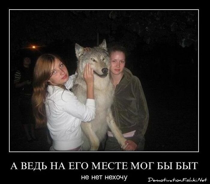 Смешной демотиватор от zubrilov за 08.12.2010 №62371