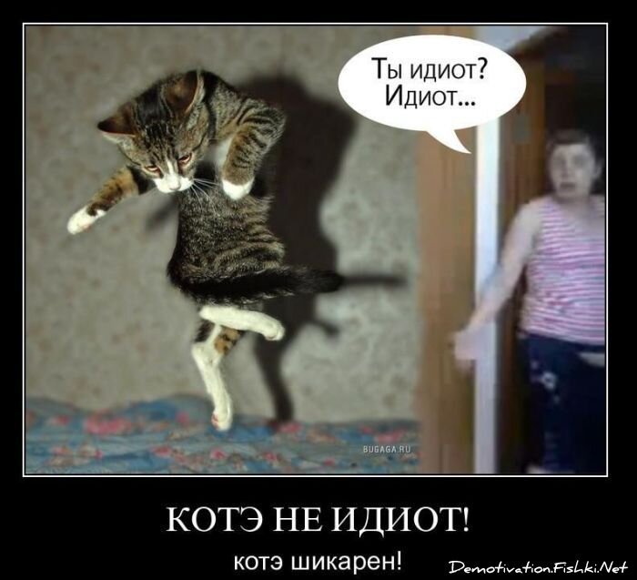 Смешной демотиватор от zubrilov за 08.12.2010 №62373