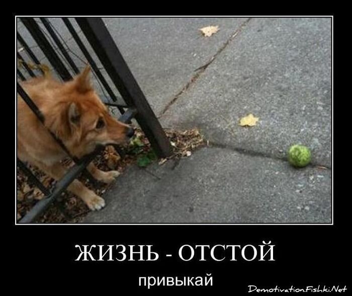 Смешной демотиватор от zubrilov за 08.12.2010 №62376