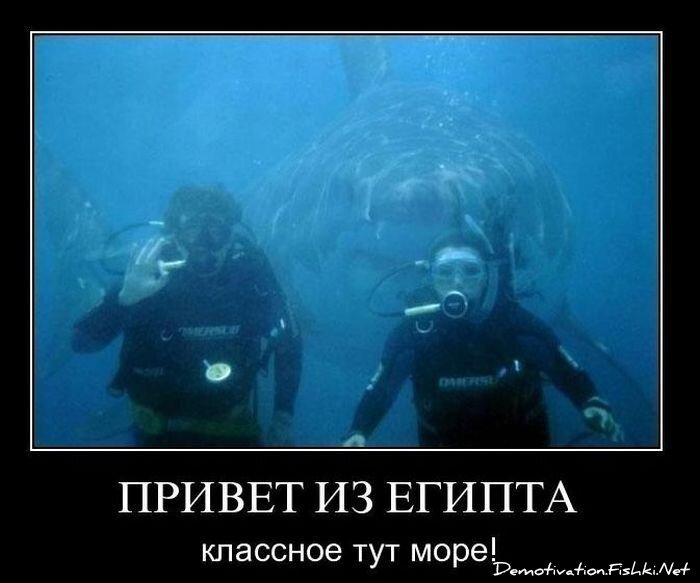 Смешной демотиватор от zubrilov за 08.12.2010 №62377