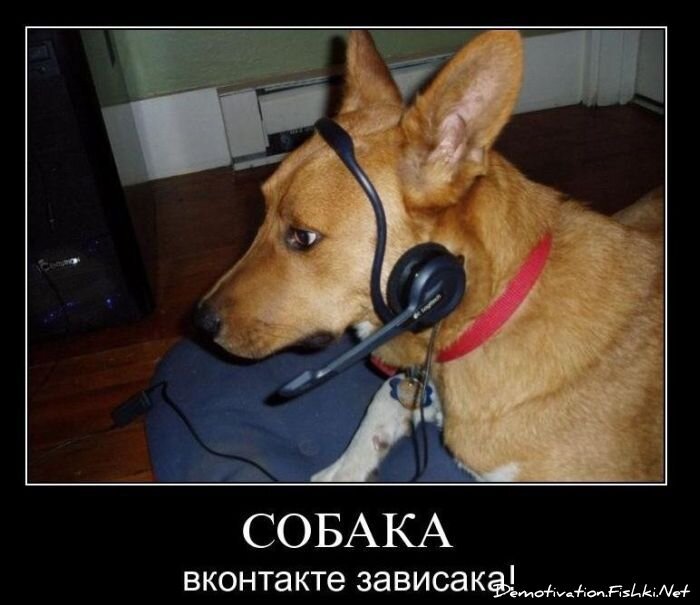 Смешной демотиватор от zubrilov за 08.12.2010 №62378