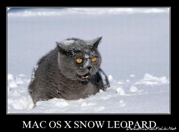 Смешной демотиватор от zubrilov за 08.12.2010 №62385