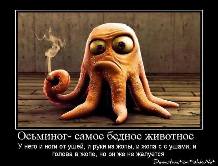 Смешной демотиватор от zubrilov за 08.12.2010 №62388