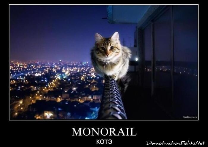 Смешной демотиватор от zubrilov за 08.12.2010 №62390