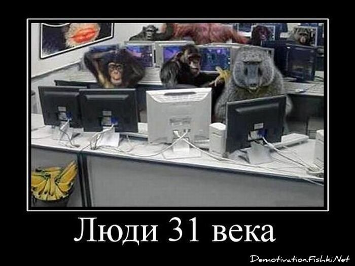Смешной демотиватор от zubrilov за 08.12.2010 №62395