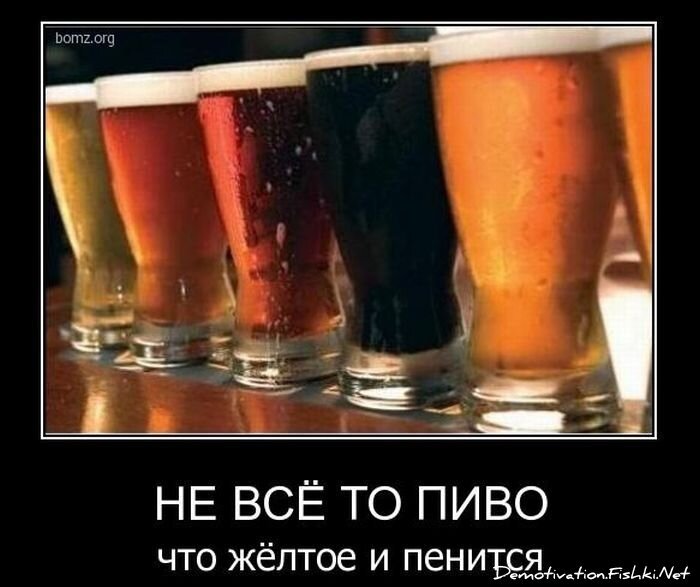 Смешной демотиватор от zubrilov за 08.12.2010 №62399