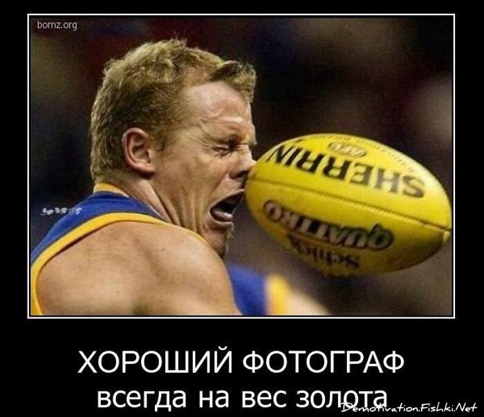 Смешной демотиватор от zubrilov за 08.12.2010 №62415