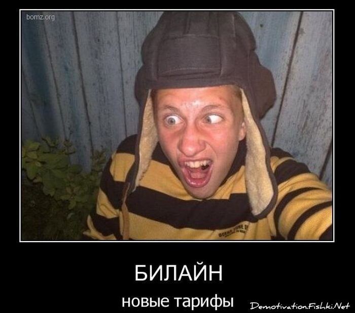 Смешной демотиватор от zubrilov за 08.12.2010 №62418