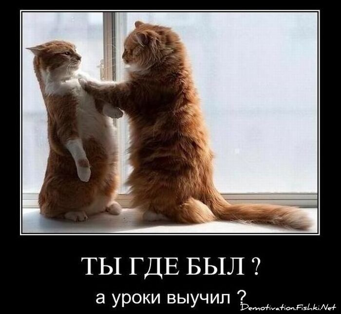 Смешной демотиватор от zubrilov за 08.12.2010 №62422