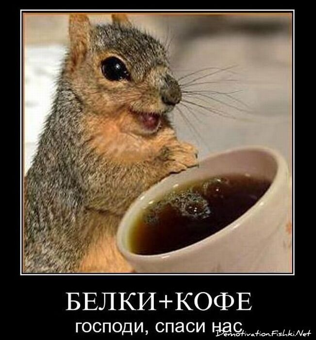 Смешной демотиватор от zubrilov за 08.12.2010 №62423