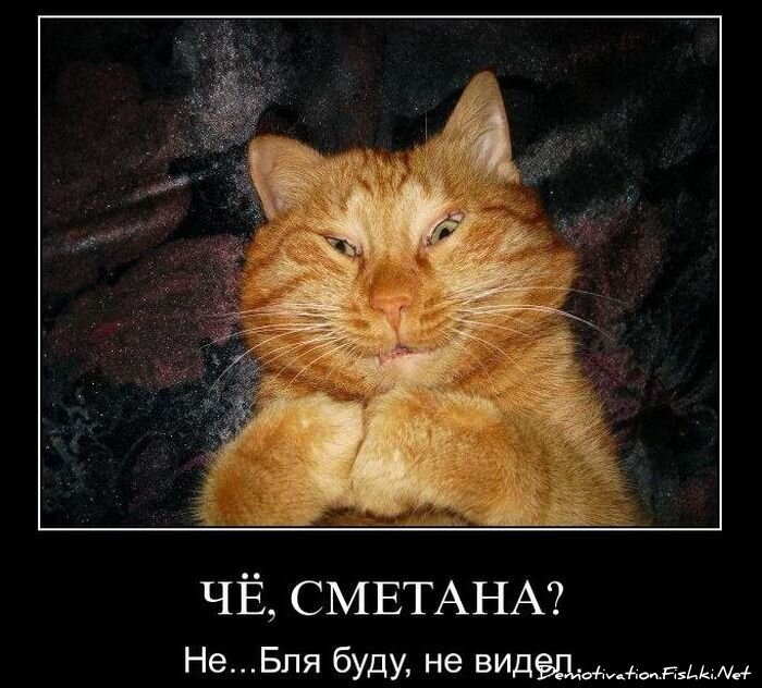Смешной демотиватор от zubrilov за 08.12.2010 №62428
