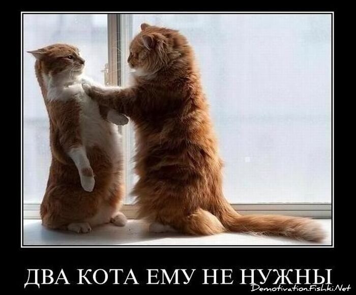 Смешной демотиватор от zubrilov за 08.12.2010 №62429