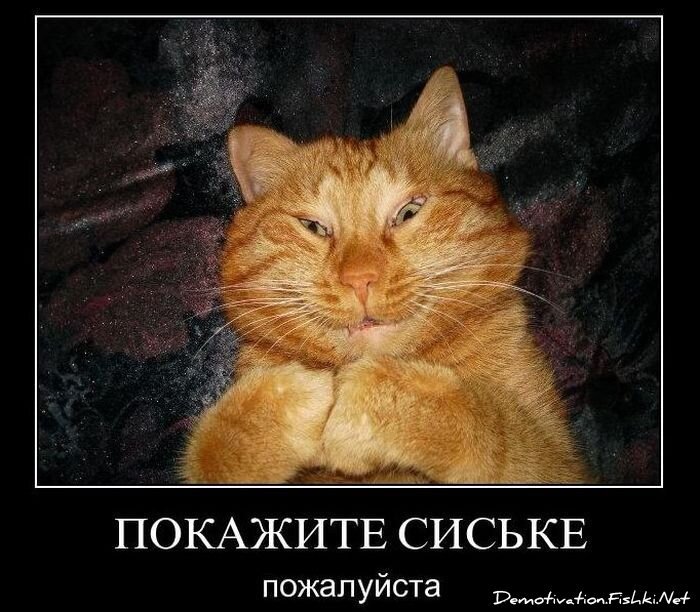 Смешной демотиватор от zubrilov за 08.12.2010 №62431