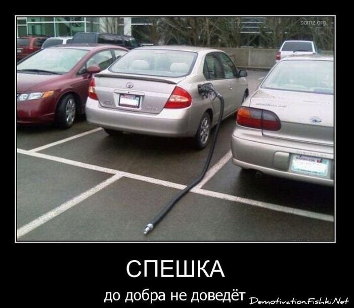 Смешной демотиватор от zubrilov за 08.12.2010 №62443