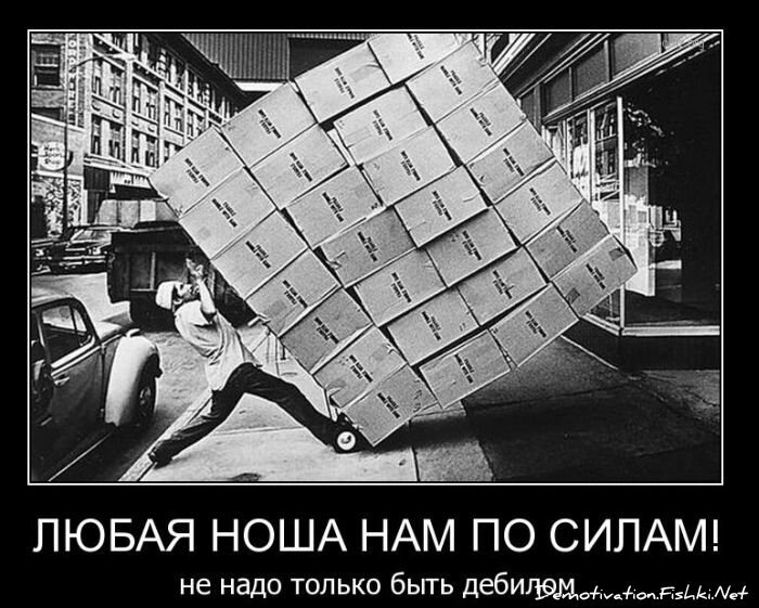 Смешной демотиватор от zubrilov за 08.12.2010 №62444