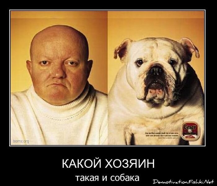 Смешной демотиватор от zubrilov за 08.12.2010 №62448