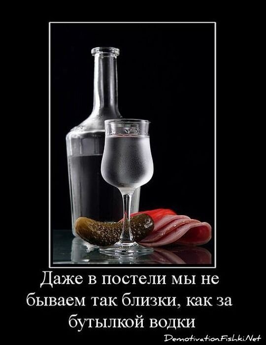 Смешной демотиватор от zubrilov за 08.12.2010 №62449