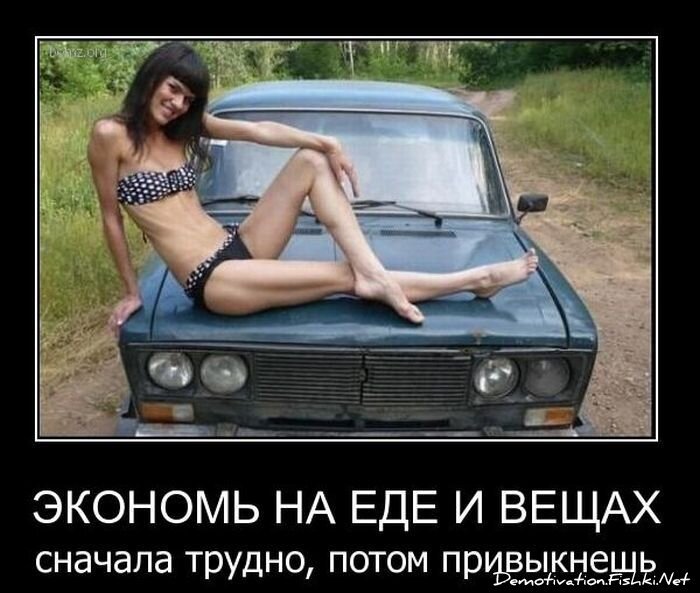 Смешной демотиватор от zubrilov за 08.12.2010 №62452