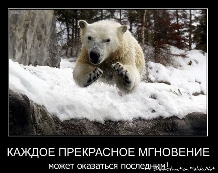 Смешной демотиватор от zubrilov за 08.12.2010 №62453