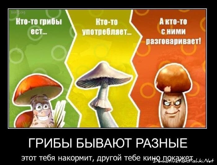 Демотиваторы, часть 91. (127 фото)