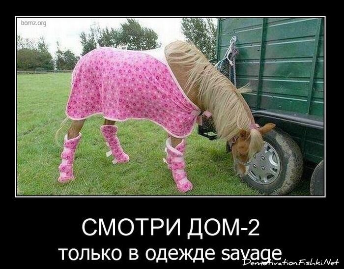 Демотиваторы, часть 91. (127 фото)