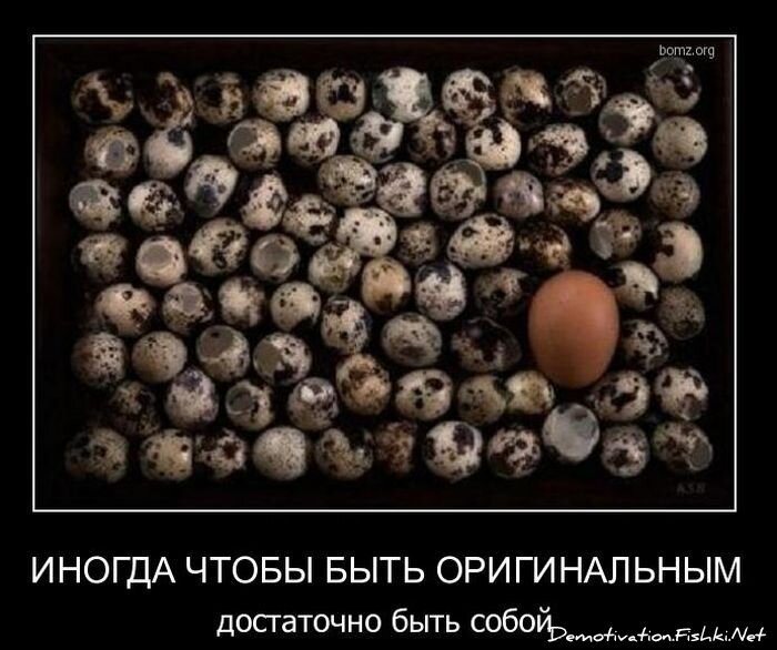 Демотиваторы, часть 91. (127 фото)