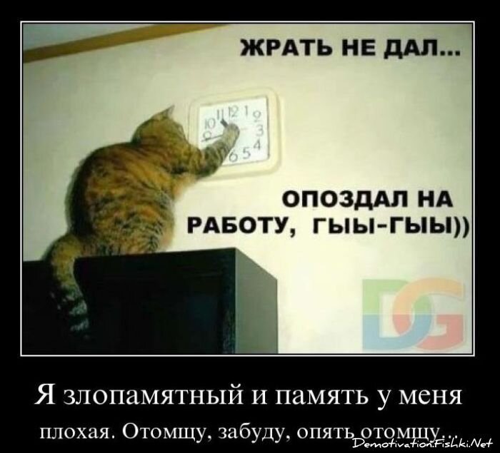 Смешной демотиватор от zubrilov за 08.12.2010 №62471