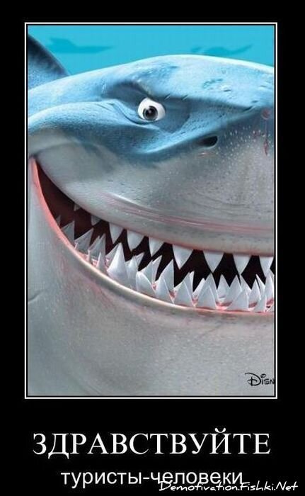 Смешной демотиватор от zubrilov за 10.12.2010 №62843