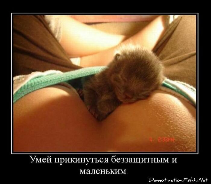 Смешной демотиватор от zubrilov за 10.12.2010 №62846