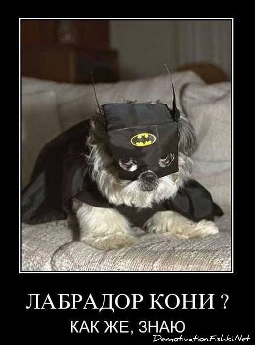 Демотиваторы, часть 92. (101 фото)