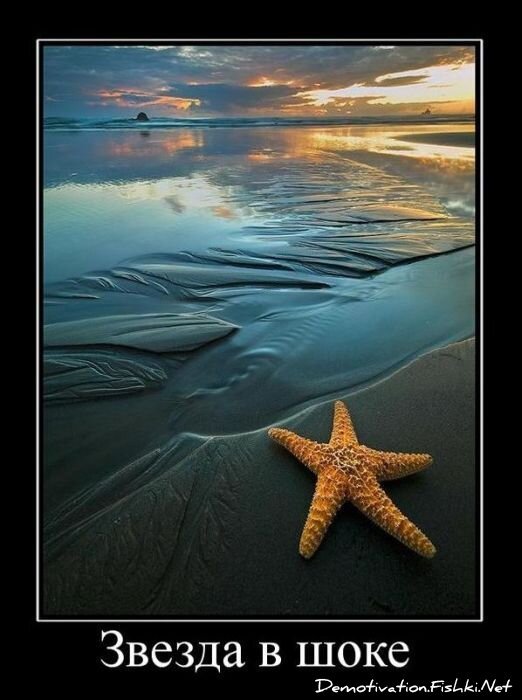 Смешной демотиватор от zubrilov за 10.12.2010 №62862