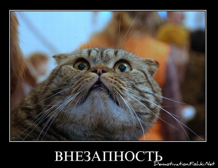 Смешной демотиватор от zubrilov за 10.12.2010 №62866