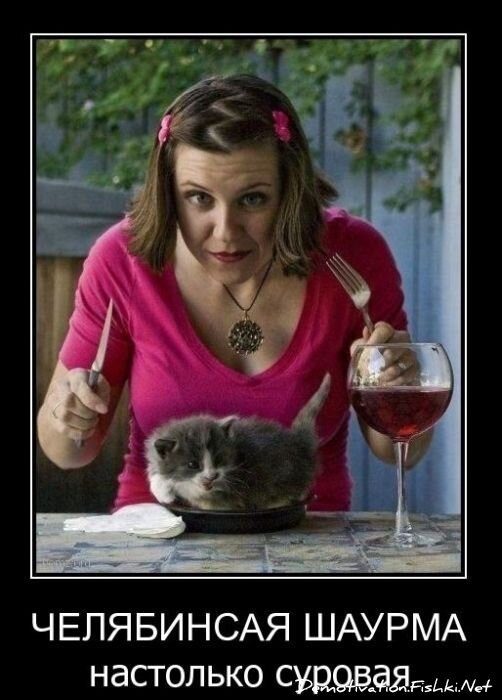 Смешной демотиватор от zubrilov за 10.12.2010 №62869