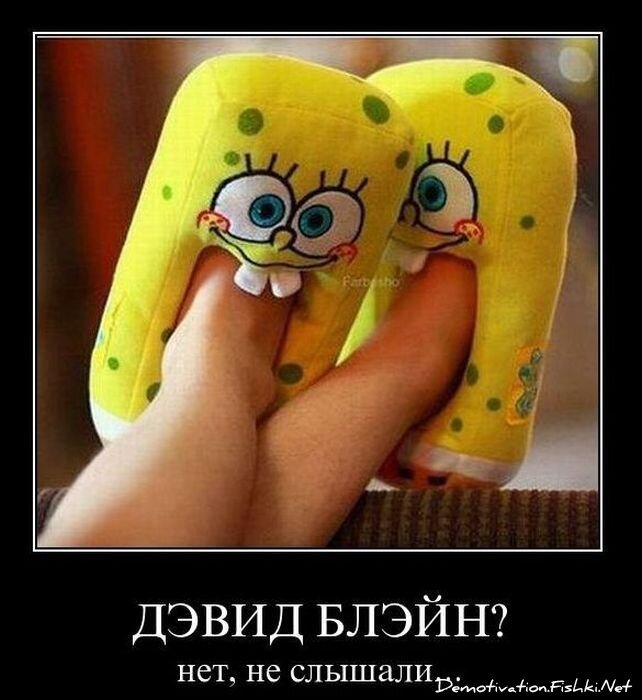 Смешной демотиватор от zubrilov за 10.12.2010 №62871