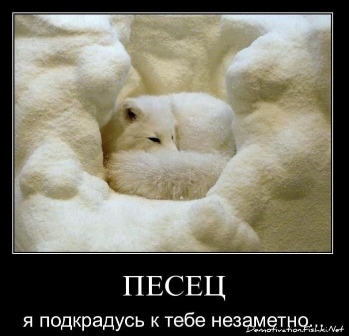 Смешной демотиватор от zubrilov за 10.12.2010 №62872