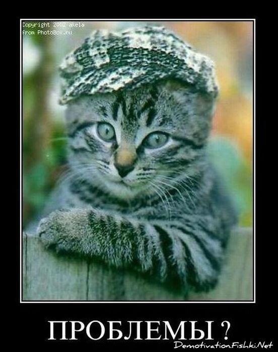 Смешной демотиватор от zubrilov за 10.12.2010 №62874