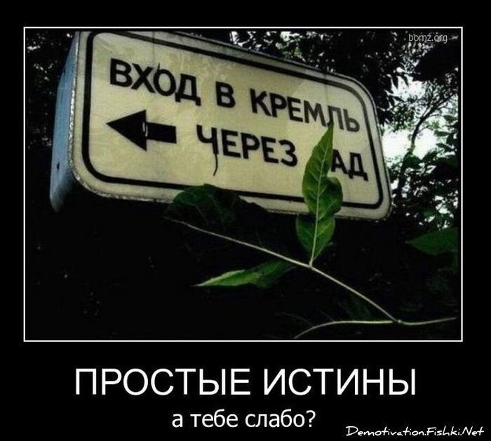 Смешной демотиватор от zubrilov за 10.12.2010 №62879