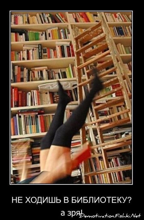 Смешной демотиватор от zubrilov за 10.12.2010 №62885