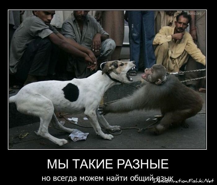 Смешной демотиватор от zubrilov за 10.12.2010 №62887