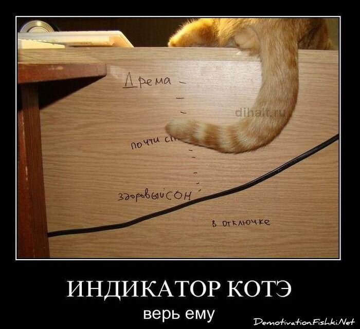 Смешной демотиватор от zubrilov за 10.12.2010 №62894
