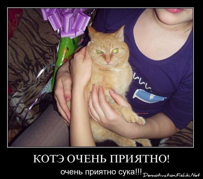 Демотиваторы, часть 92. (101 фото)
