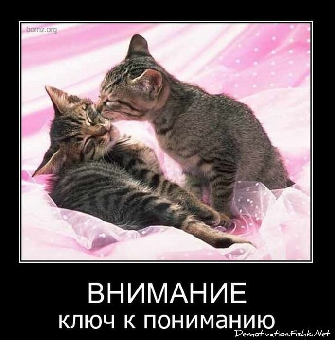 Смешной демотиватор от zubrilov за 10.12.2010 №62899