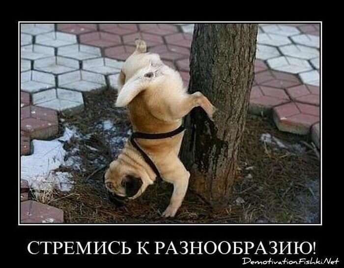 Смешной демотиватор от zubrilov за 10.12.2010 №62902